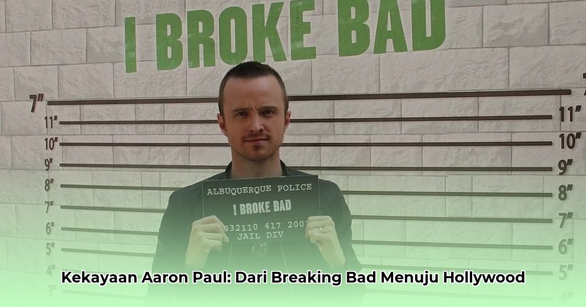 aaron paul s net worth